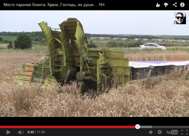 Big part of an airplane of Malaysian
                        Airlines with the tail fin with it's anchorage,
                        without dust nor earth nor sinkhole, it was just
                        put into a wheatfield carefully