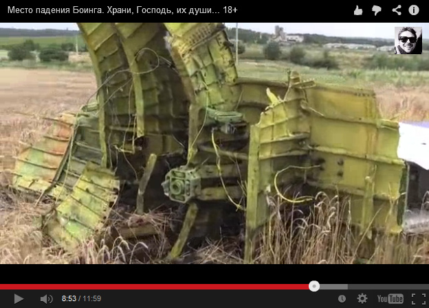 Big part of an airplane of Malaysian
                        Airlines with the tail fin with it's anchorage,
                        without dust nor earth nor sinkhole, it was just
                        put into a wheatfield carefully - zooom