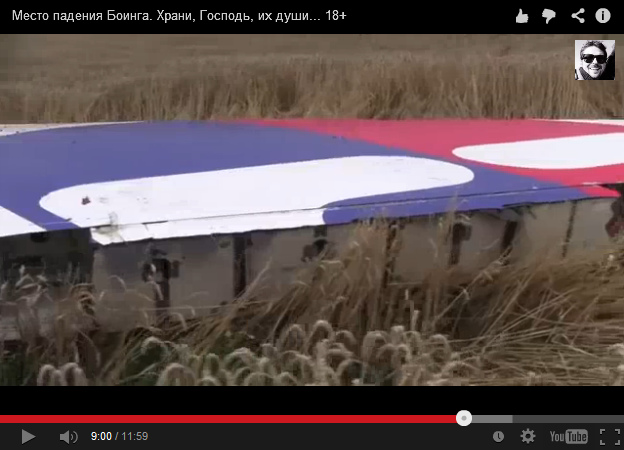 Tail fin with the logo of Malaysian
                        Airlines without rudder