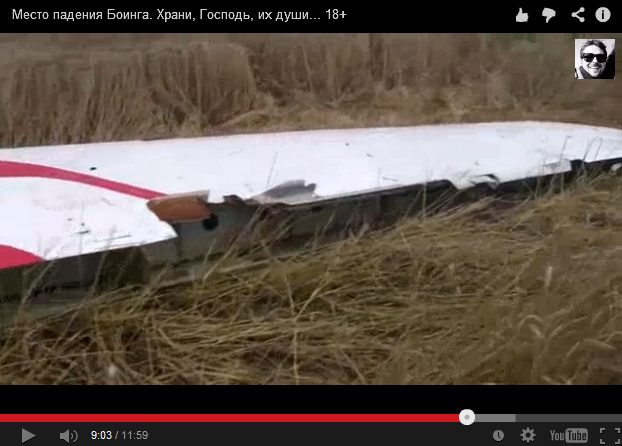 The end of the tail fin without rudder in
                        the wheatfield