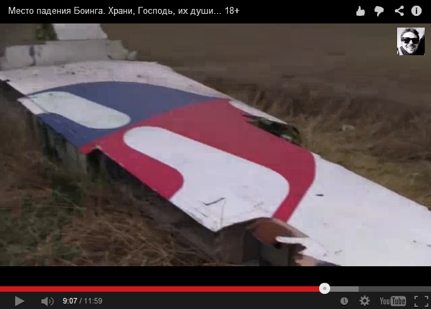 The tail fin without rudder but with the
                        logo of Malaysian Airlines