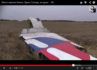 tail fin in a wheatfield