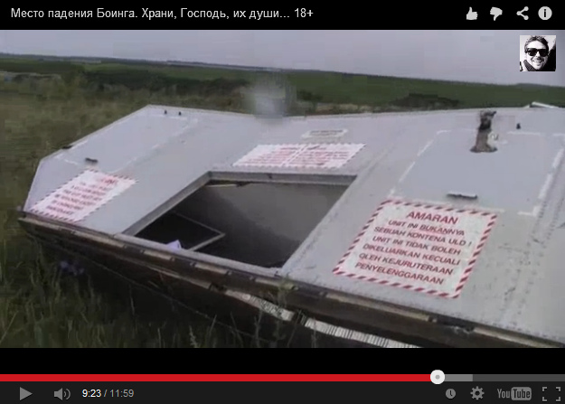 A part of the interior of an airplane in a
                        meadow with the shield "Amaran"
