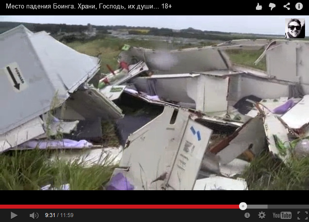 Another part of the interior of an airplane
                        in a meadow without dust nor earth nor sinkhole