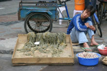 Shantou /
                        Swatow: Gemseverkauf, Rikscha