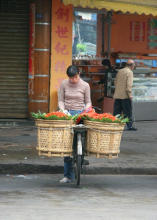 Shantou / Swatow: Gemse-Velotransport