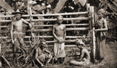 Tabakarbeiter in Deli, n�rdliches
                      Sumatra, um 1910