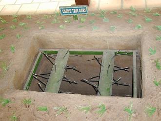 Vietnamkrieg: Fallen: Rollen mit Bambusspitzen ber
                einer Grube, Vietnam War trap
