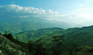 Jungle mountains of
                              Tru�ng Son mountain range in Vietnam