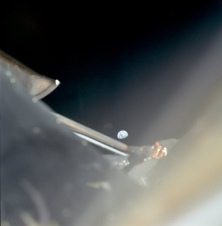 Apolo 11, foto de la NASA no. AS11-37-5434:
                        La NASA afirma que eso ser�a la "vista
                        atr�s" del "vuelo a la luna" por
                        el "m�dulo lunar" a la Tierra, y la
                        foto ser�a de Neil Armstrong.