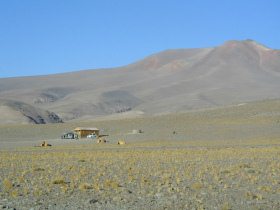 Desierto de Atacama (28):
                                  campamento en la laguna Santa Rosa
                                  [33]