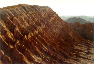 Valle de la Luna (22): cordillera
                                con surcos como una catedral de piedra
                                [59]