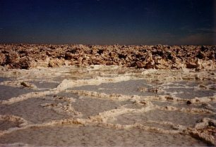 "Paisajes lunares" en
                                  Chile: salar de Atacama (02):
                                  formacin de sal como panales de miel
                                  y como el mar [77]