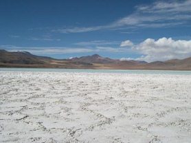 "Paisajes lunares" en
                                  Chile: salar de Atacama (04):
                                  formacin de sal como celdillas,
                                  cordillera al fondo [79]