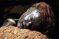 Die
                Moorleiche "Grauballemann" in Moesgaard, 2000
                Jahre alt