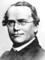 Gregor
                Mendel, Portrt eines Forschers der Erbwissenschaften
                ohne Rassismus