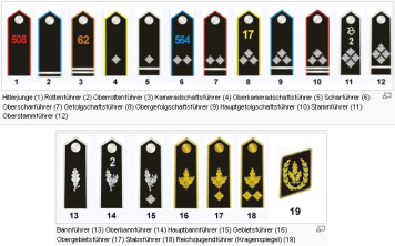 Hitlerjugend, 19 Rangabzeichen
