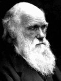 Charles Darwin, Portrait