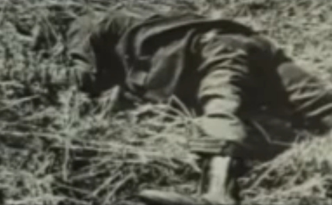 Ein deutscher Kriegsgefangener tot auf
                          einer Wiese im frischen Gras, eventuell nach
                          einem Fluchtversuch: 26min.5sek.