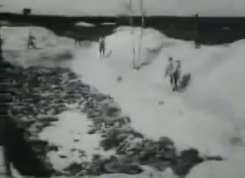 Leichengrube in der Region
                            Bergen-Belsen