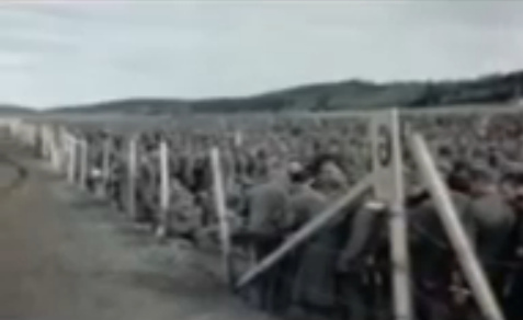 Herded Rhine meadow camps with German
                            prisoners of war upright at a barbed wire
                            fence (22min. 36sec.)