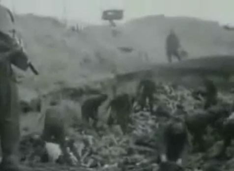 An SS group in a mass
                            grave under the order of British machine
                            guns (23min. 55sec.)