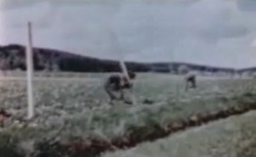 "Americanos" instalando campos
                          del prado del Rin 03, poniendo postes