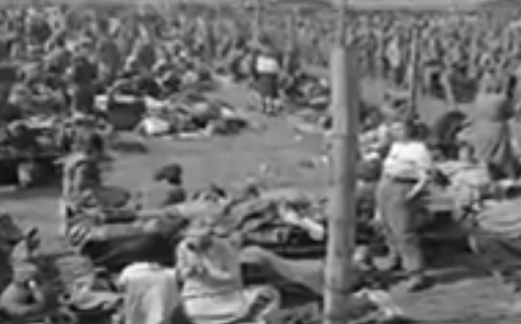 Campo del prado del Rin en verano,
                        prisioneros de guerra alemanes en el sol en la
                        tierra, no hay huecos