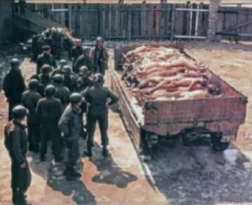 Foto
                        falso de Auschwitz con soldados
                        "americanos" y con cadáveres alemanes
                        en un tráiler