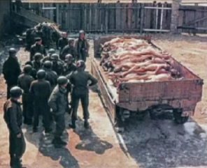 Foto falsa de Auschwitz con
                                    soldados "americanos" y
                                    con cadáveres alemanes en un tráiler
                                    - NO son cadáveres judíos