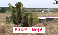 MH17: Der Flugzeugabsturz in der Ost-Ukraine
                    ist gef�lscht, die Tr�mmer sind hingelegt, ohne
                    Einsturzkrater