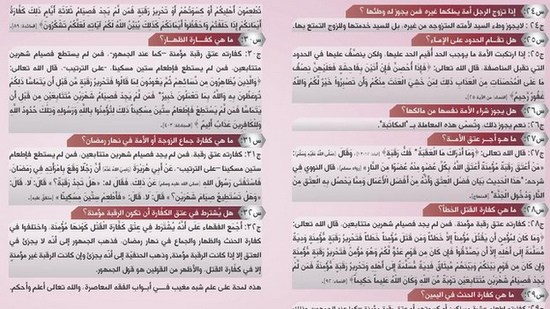 Dokument des
                        Islamischen Staats (IS): Kindersex ist erlaubt,
                        wenn das Mädchen dafür "geeignet" ist