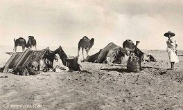 Beduinenzelte 1915
