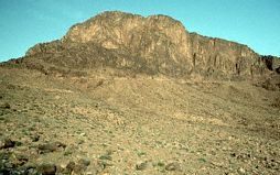 Der Berg
                              Sinai bei Tag