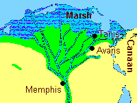 Nile Delta in
Pharaoh's times: many arms, Memphis, Avaris,
Canaan Nile Delta in Pharaoh's times: many arms,
Memphis, Avaris, Canaan