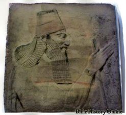 Tiglatpileser III (tb. Tiglat Pileser), perfil,
                  yacimiento Nimrud
