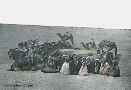 Bedouins: rest in an oval order Bedouins: rest in an oval order