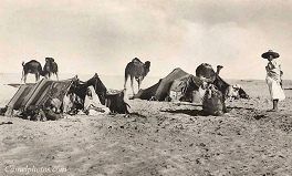 Tents
of Bedouins in 1915 Tents of Bedouins in 1915