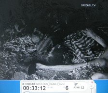 Kohnstein 51, tote Hftlinge 02