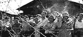 Camp
                        on Cyprus, Jews behind barbed wire