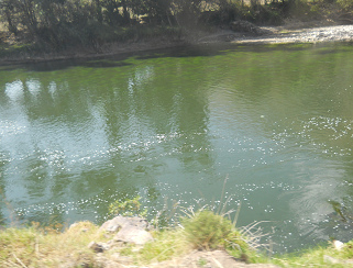El
                      ro Urubamba contaminado con los desages de Cusco
                      01, la cloaca de Cusco