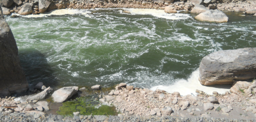 El ro Urubamba
                      contaminado con los desages de Cusco 03 - vista
                      de cerca de la espuma, la cloaca de Cusco
