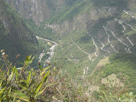 La vista a la
                        carretera serpenteante subiendo de Aguas
                        Calientes a Machu Picchu con el ro Urubamba
                        contaminado - la cloaca de Cusco, y a los
                        alcaldes catlicos de Cusco les gusta as (!) -
                        as son caclicos como son en realidad porque
                        falta la palabra "planta de
                        purificacin" en la Biblia - NO leen otro
                        libro los idiotas caclicos!