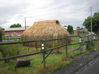 Temuco
                  Cholchol, una ruca 1