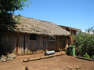 Temuco Cholchol, casa vivienda con techo de
                  paja