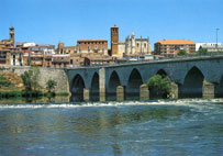 Tordesillas town
                            bridge at Duero River