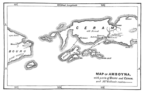 Map
                            of the Molucca Islands / Banda Islands: The
                            little island of Amboina / Amboyna