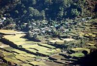 Luzon: village in rice terraces