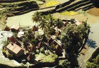 Luzon: village in rice terraces