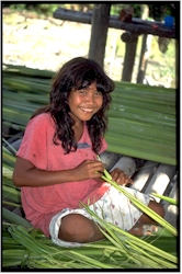 Girl in a village in the Orinoco delta
                          weaving with palm leaves